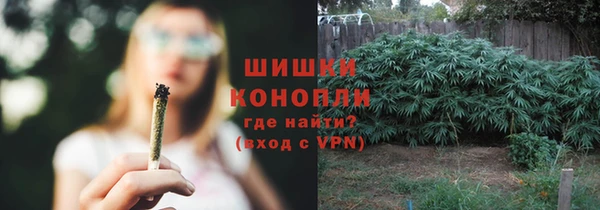 дмт Липки