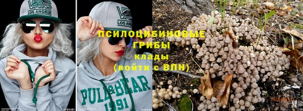 дмт Липки