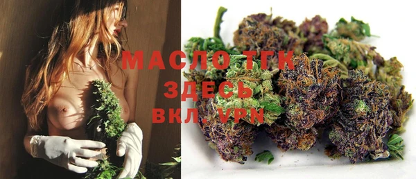 PSILOCYBIN Майский