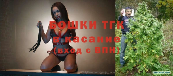 PSILOCYBIN Майский