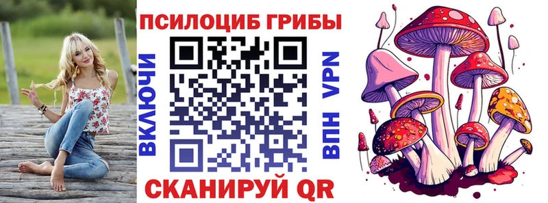 Купить закладки  Задонск  Псилоцибиновые грибы Cubensis 